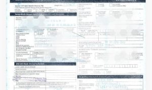 IMG-20260324-WA0120(1)